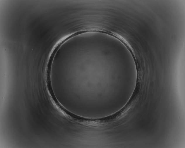 X0000084530995200703021416