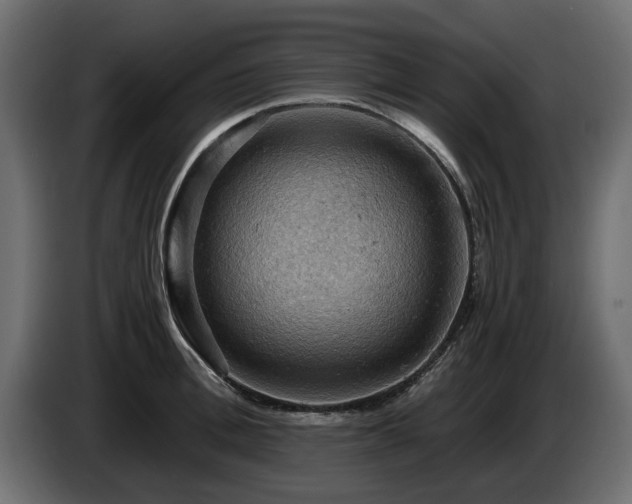 X0000084530996200703021416