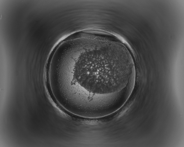 X0000084530999200703021416