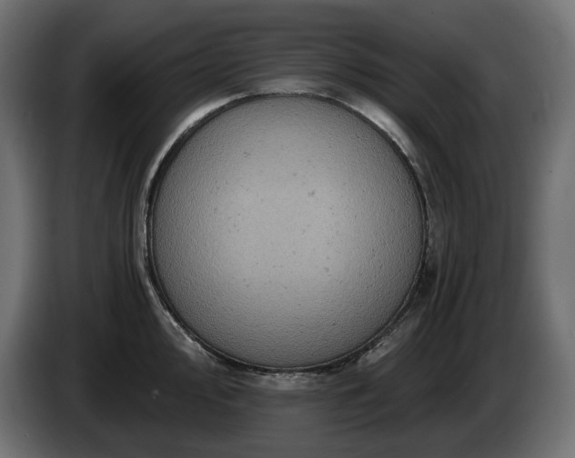 X0000084531000200703021416