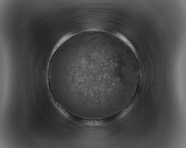 X0000084531002200703021416