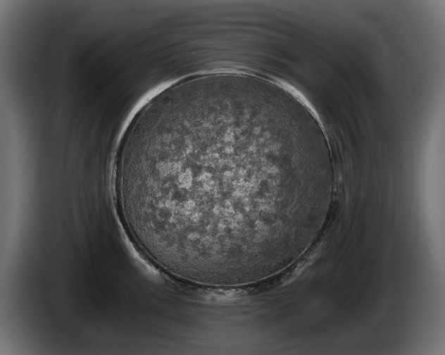 X0000084531003200703021416