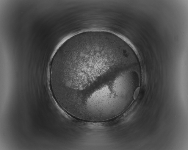X0000084531006200703021416