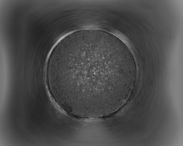 X0000084531008200703021416
