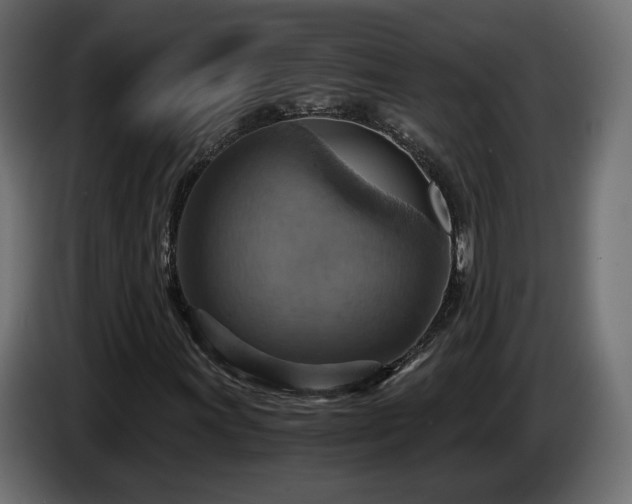 X0000084531011200703021415