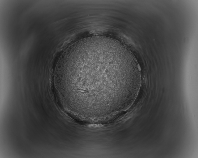 X0000084531012200703021415