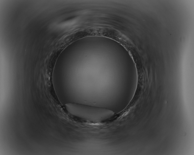 X0000084531013200703021415