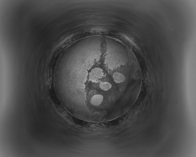 X0000084531015200703021415
