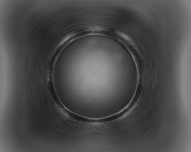 X0000084531017200703021415