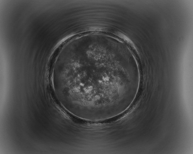 X0000084531019200703021415