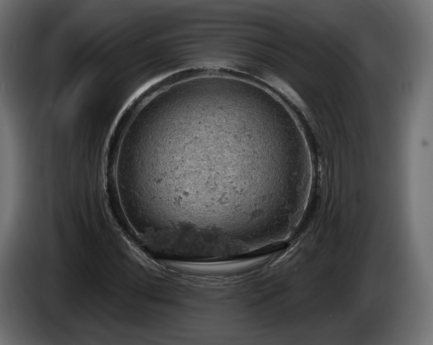 X0000084531020200703021415