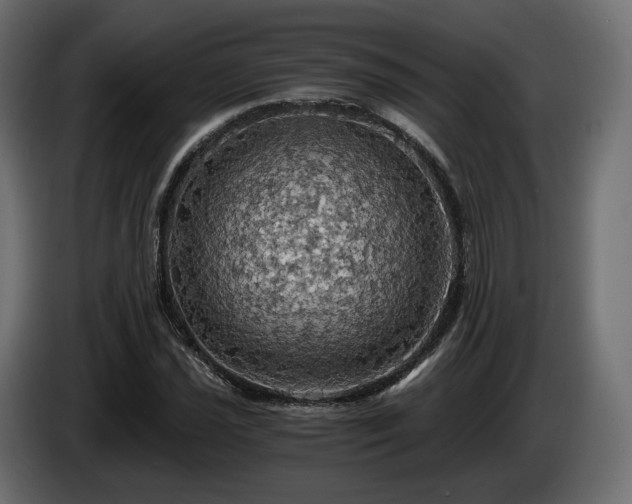 X0000084531021200703021415