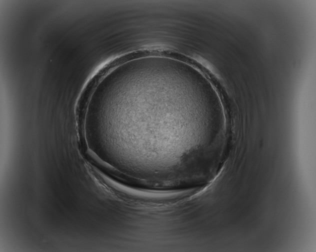 X0000084531022200703021415