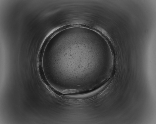 X0000084531024200703021415