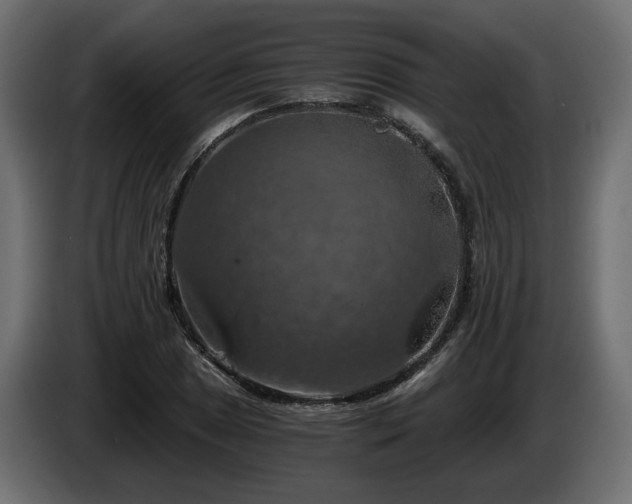 X0000084531025200703021415