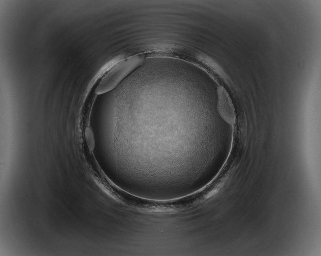 X0000084531026200703021415