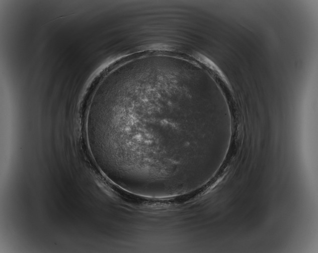 X0000084531027200703021415