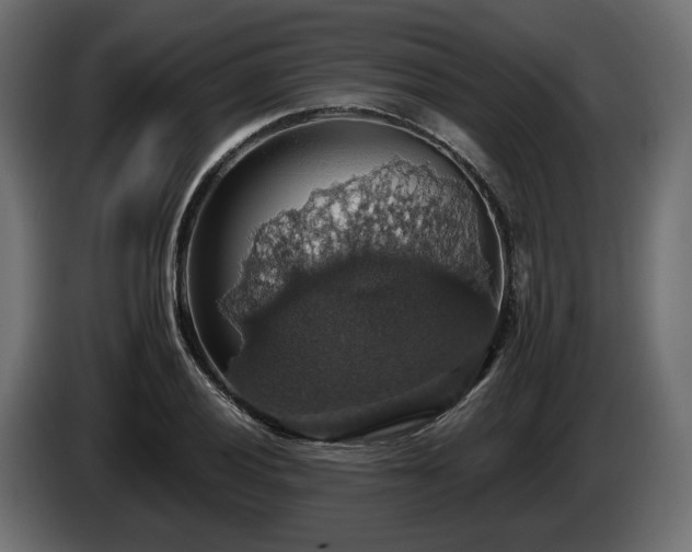 X0000084531028200703021416