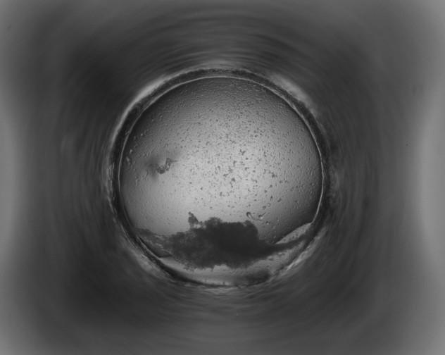 X0000084531029200703021416