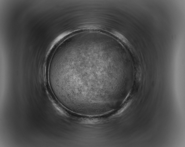 X0000084531030200703021416
