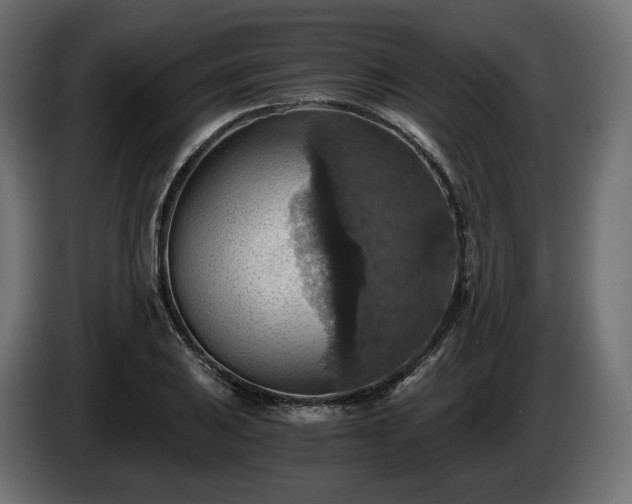 X0000084531031200703021416