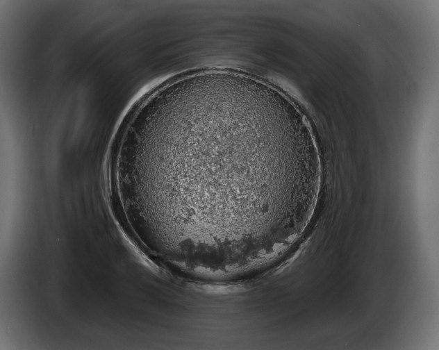 X0000084531032200703021416