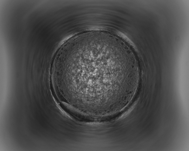 X0000084531033200703021416