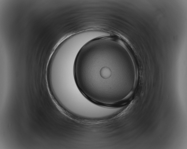 X0000084531034200703021416