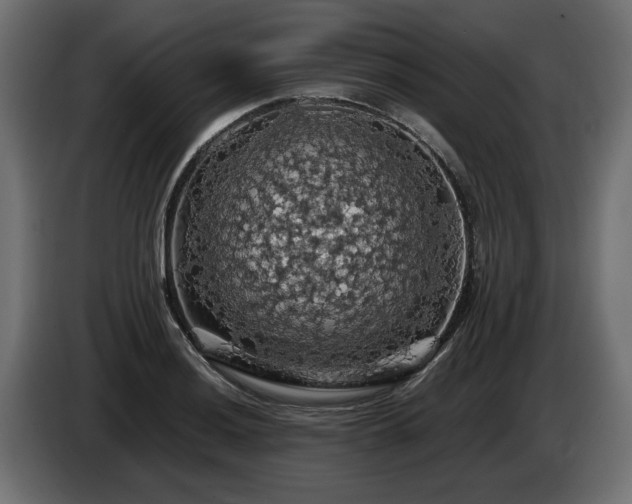 X0000084531036200703021416