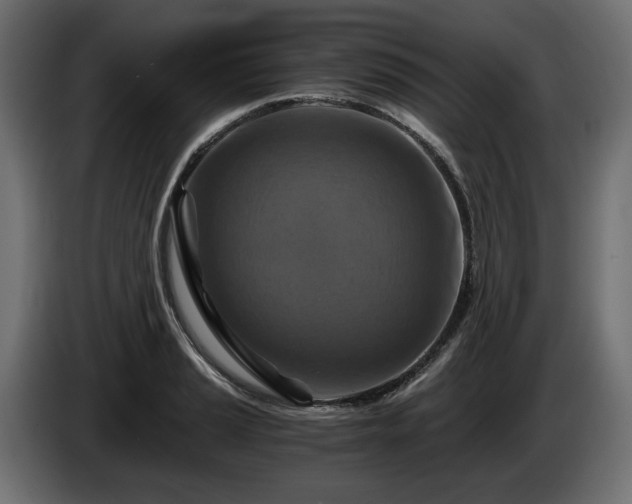 X0000084531037200703021416