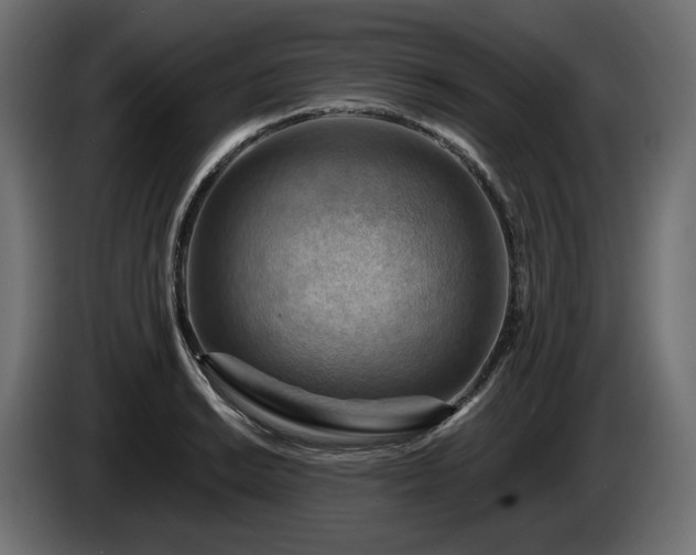 X0000084531038200703021416