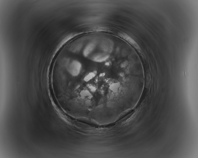 X0000084531039200703021416