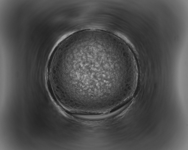 X0000084531040200703021416