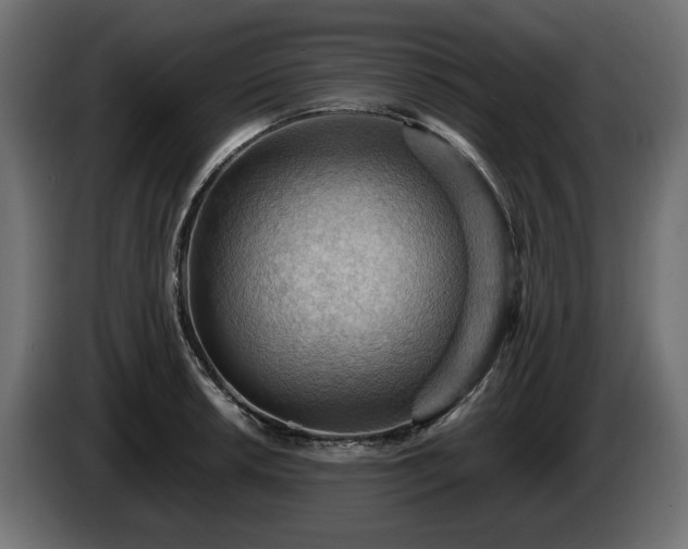 X0000084531042200703021416