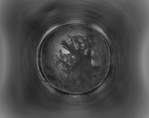 X0000084531043200703021416