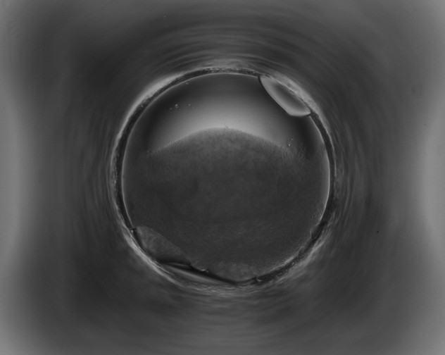 X0000084531045200703021416