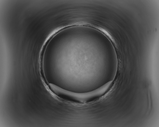X0000084531046200703021416