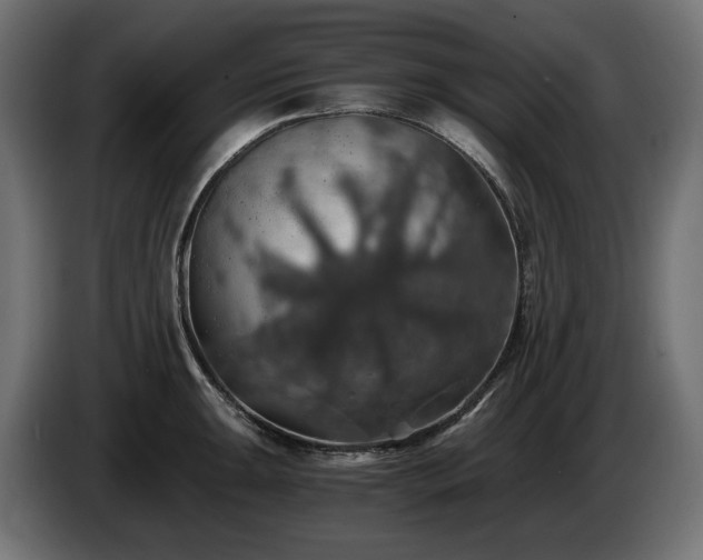 X0000084531047200703021416