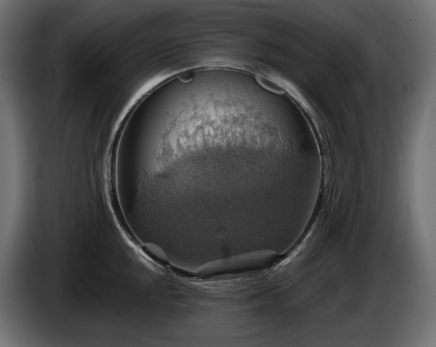 X0000084531048200703021416