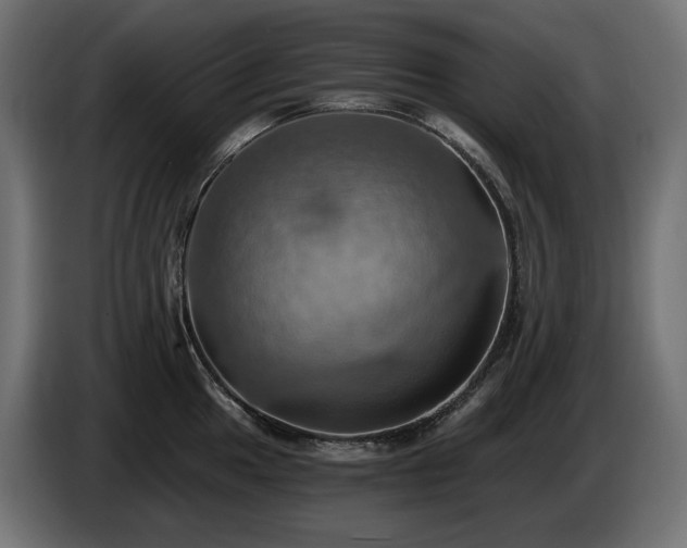 X0000084531049200703021416