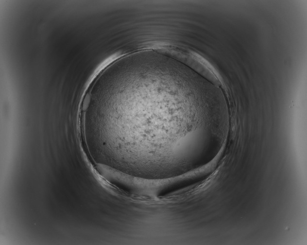 X0000084531050200703021416