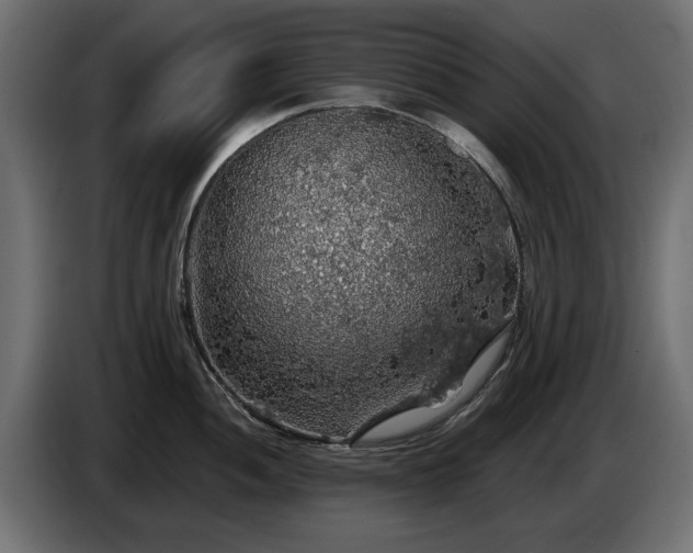X0000084531052200703021416