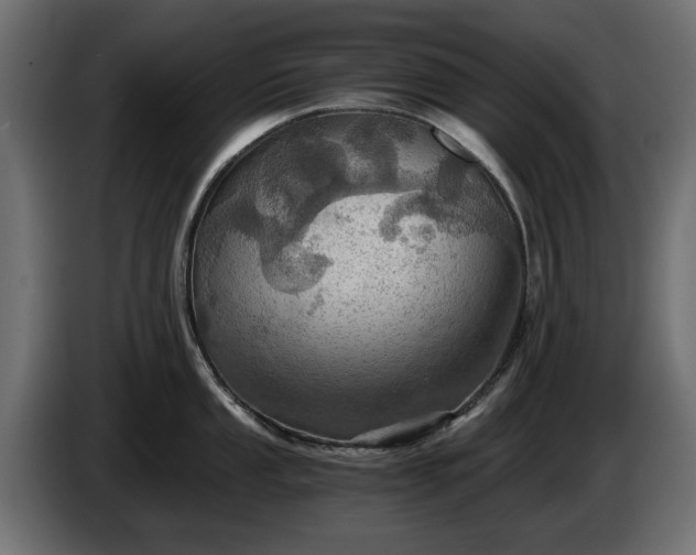 X0000084531053200703021416