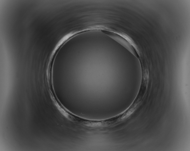 X0000084531054200703021416