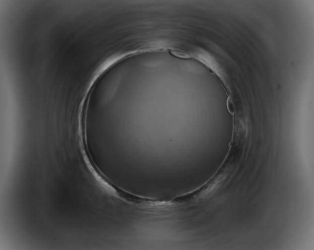X0000084531055200703021416