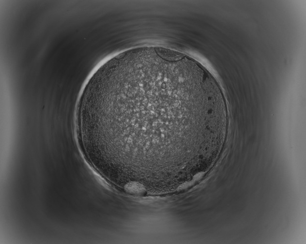 X0000084531056200703021416