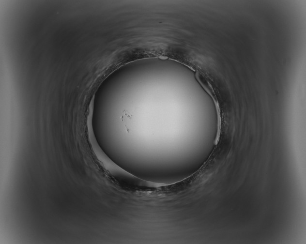 X0000084531057200703021415