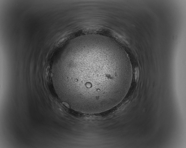 X0000084531059200703021415