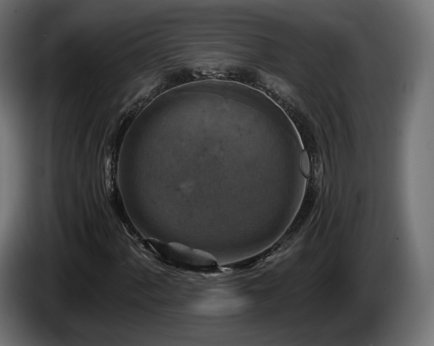 X0000084531060200703021415
