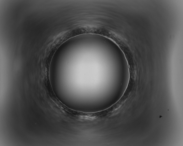 X0000084531061200703021415